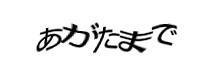 認証画像